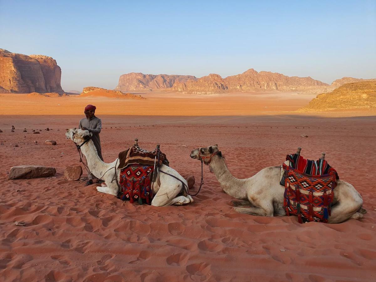 Wadi Bedouin Camp 2*