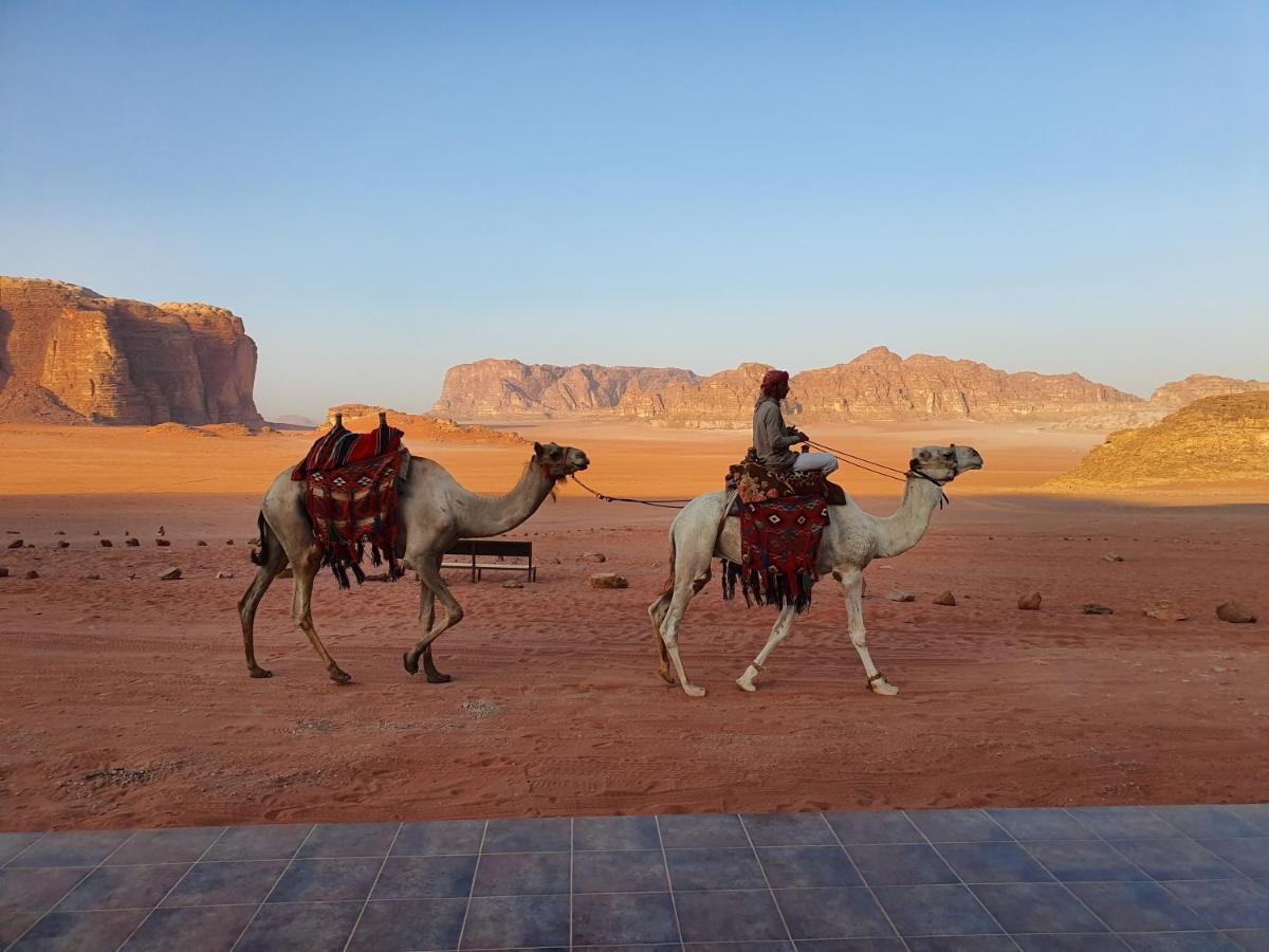 Wadi Bedouin Camp Camping